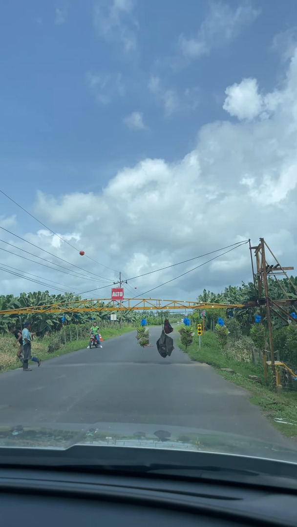 道路を横断バナナ!?コスタリカの驚愕の珍光景!!【海外・動画】