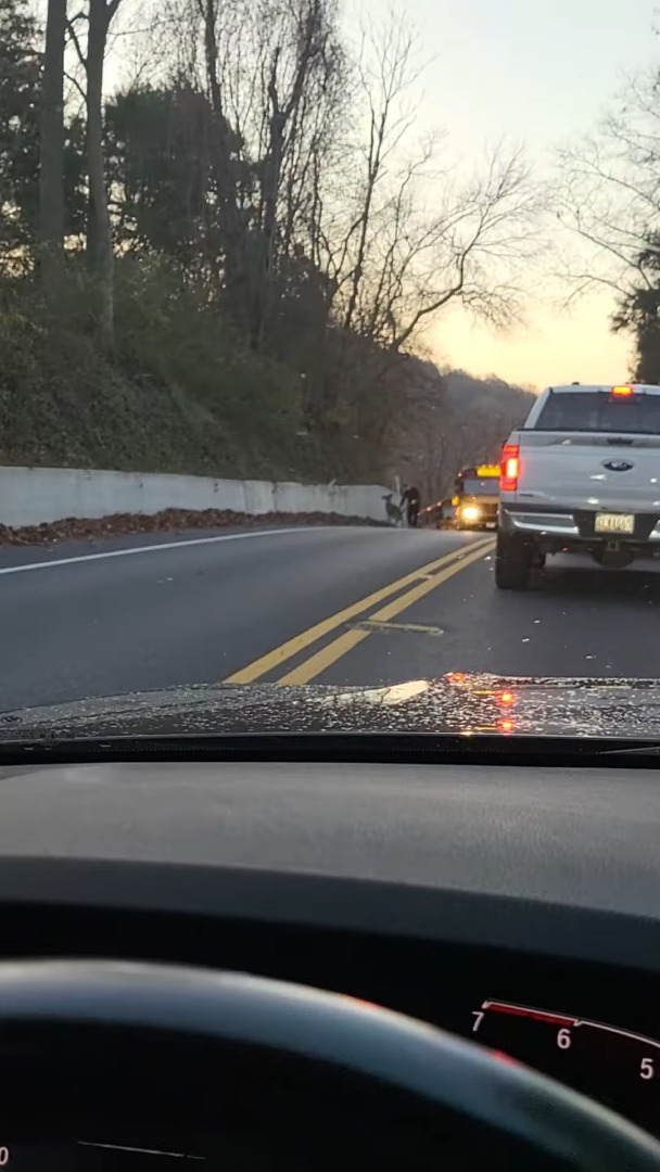 道路の端で鹿を誘導するヒゲをたくわえた男性。その光景は、サンタさんがクリスマスにソリを曳いてくれる子の勧誘をしているようでした!!