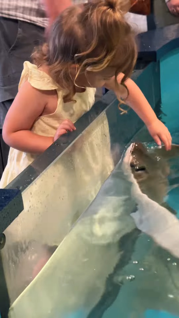 エイが「いい子いい子」とナデナデしてもらって喜んでる!?水族館のエイと女の子の交流にほっこり!!【アメリカ・動画】
