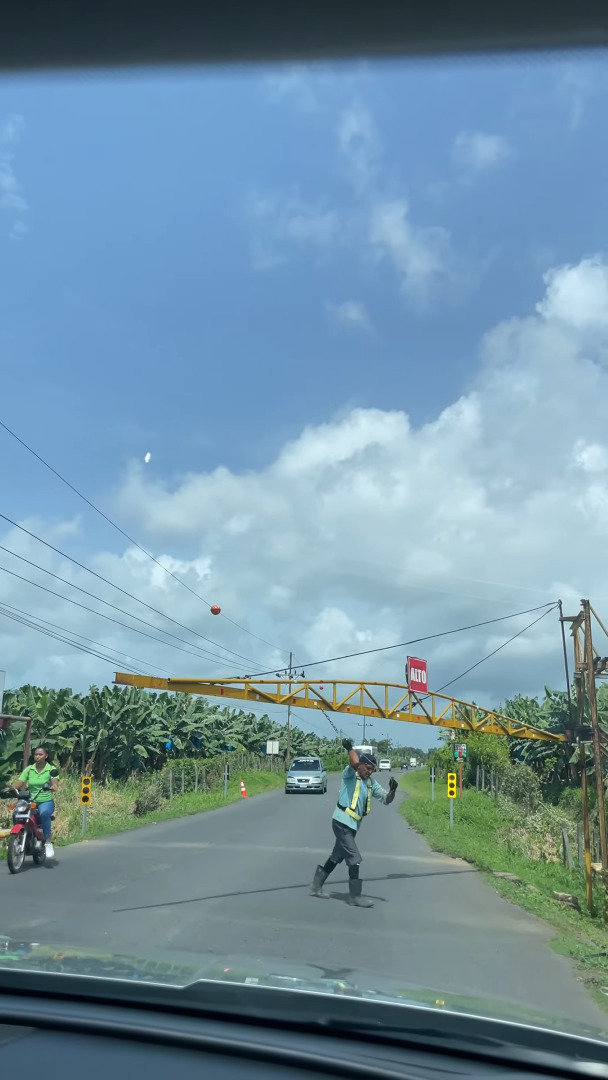 道路を横断バナナ!?コスタリカの驚愕の珍光景!!【海外・動画】