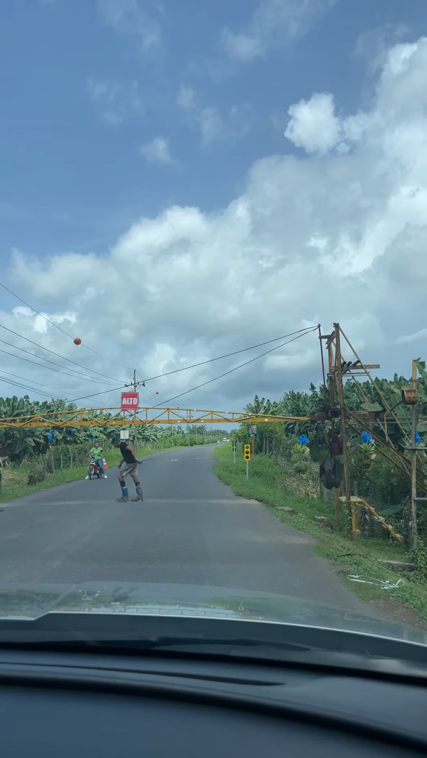道路を横断バナナ!?コスタリカの驚愕の珍光景!!【海外・動画】