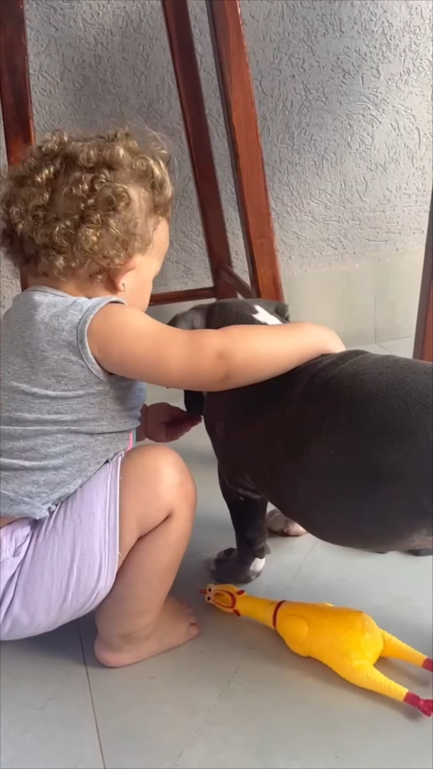 子犬にごはんを食べさせてあげる赤ちゃん。健気に世話を焼くその姿は、子犬のママみたい!!【海外・動画】