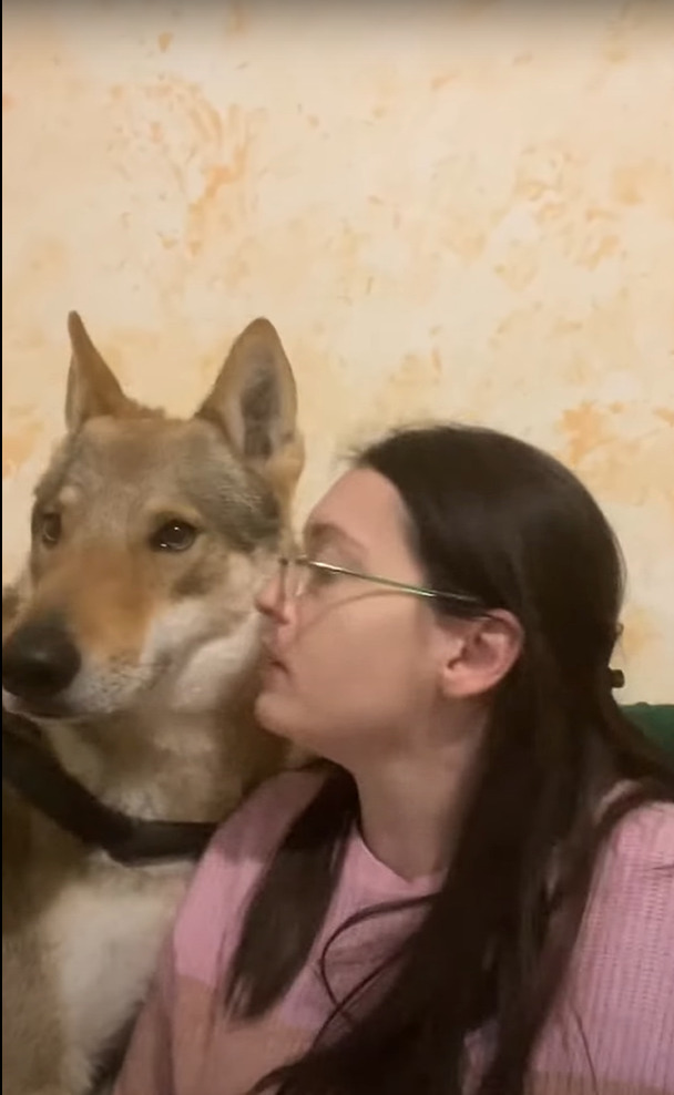 愛犬はパパさんが大好き！パパさんがキスしようとすると大喜びなのに、続けてママさんもキスをしようとしたら・・【海外・動画】