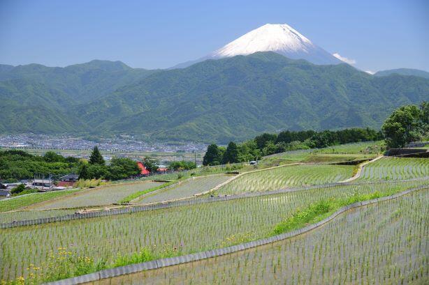 （南アルプス市）富士山が見える絶景の棚田と銘菓清月のイタリアンロール