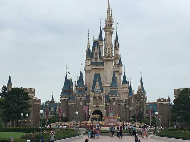 ディズニーランドの花を引きちぎった女性客、刑事罰は受ける?器物損壊罪が成立