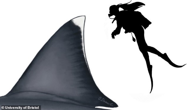 最恐モンスターサメ「メガロドン」の正確なサイズが判明！ジョーズも逃げ出すデカさだった