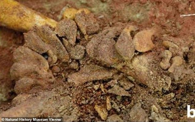 約3万年前に亡くなった「一卵性双生児の遺骨」を発見！ 考古学史上、最古の双子