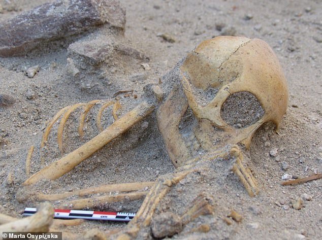 ヒトの子どもに見える「2000年前のサルの遺骨」をエジプトで発見！ペットとしてインドから輸入されていた