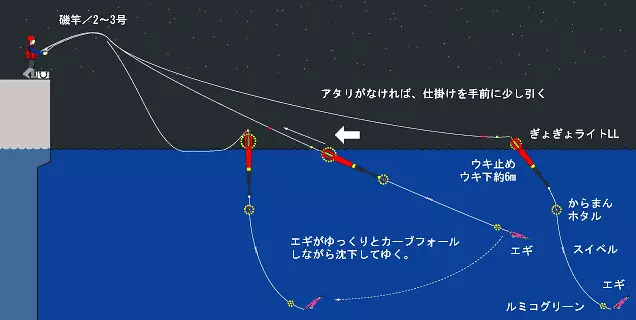 イカの釣り方特集！種類別に時期やコツなど、初心者向けまとめ！