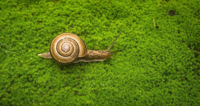 「何もしない」ライフハック 。オランダ発の“niksen” とは?