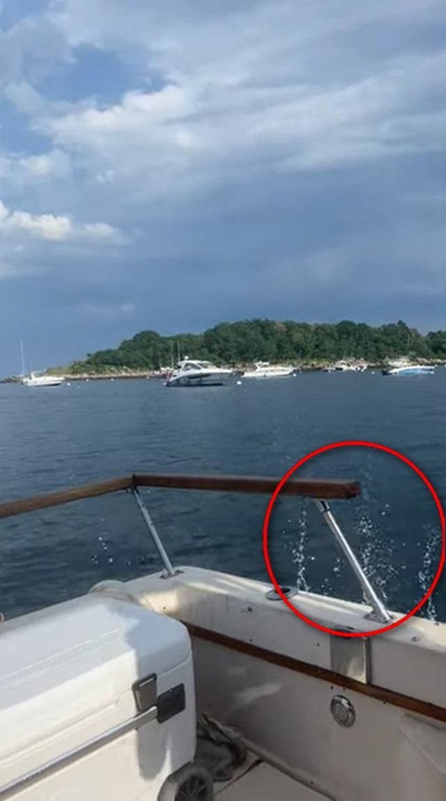 クルーザーから海に飛び込もうと思ったら・・・調子に乗り過ぎた男性の失敗が痛々しい【夏が近づいてきましたが浮かれ気分にはご注意を】