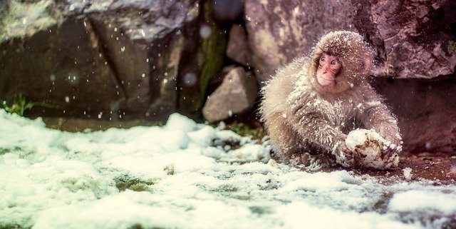 降る時期や質感で名前が変わる「雪」。それぞれ状態による名前や別名など、たくさんあります！！