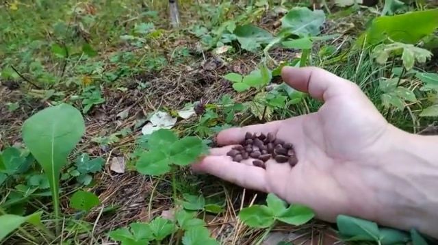 餌をあげたらリスが完全にロングフリーズ？！リスだけ時が止まったかと思う面白ビックリな動画