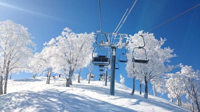 スキーシーズン到来！滋賀・グランスノー奥伊吹に初冠雪 12月18日オープン予定