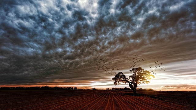 地震雲は本当に“地震の前兆”なのか？ 科学的根拠のない単なる偶然か？