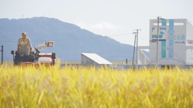 東日本大震災から11年「タイムカプセルプロジェクト-被災地からの手紙-」が公開