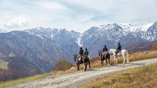 「白馬ヒトトキノモリ」がグランドオープン！“白馬”に乗れるホーストレッキングも