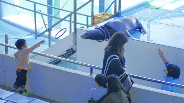 【石川県】リニューアルした「のとじま水族館」の見どころをまとめました！