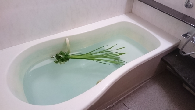 「あやめ」と「しょうぶ」に「かきつばた」、そっくりな花たちの見分け方をご紹介!
