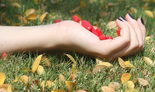 スズラン(鈴蘭)の花言葉は?可愛らしい花なのに怖いイメージがあるらしい