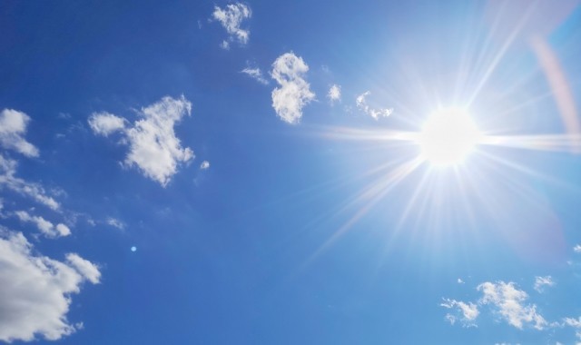 【イベリス】太陽に向かって咲く白い花には対照的な2つの花言葉があった