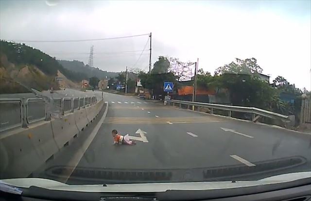 【ドラレコ映像】ドラレコに映っていたのは道路を横切る何か！近づいてみると衝撃の正体が