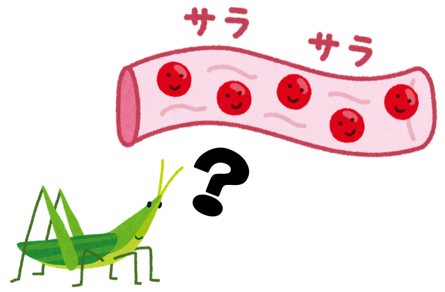 【昆虫雑学】素朴な疑問！昆虫に心臓はあるの？血液はどうなってるの？