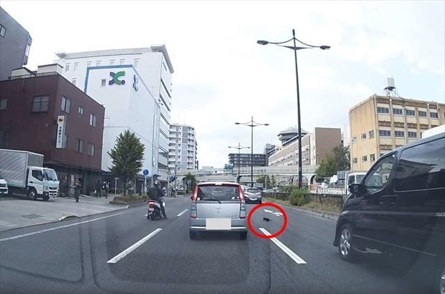 車にひかれそうな子猫を通りがかった女子高生が救出！勇気ある行動に称賛の声