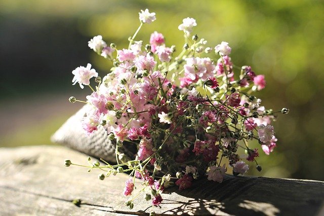 春に咲くのは桜やチューリップだけじゃない!美しく咲く春の花をご紹介