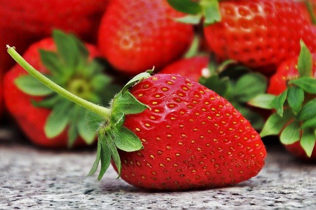 イチゴの種はどこにある？実は意外だらけのイチゴの種と果実のお話