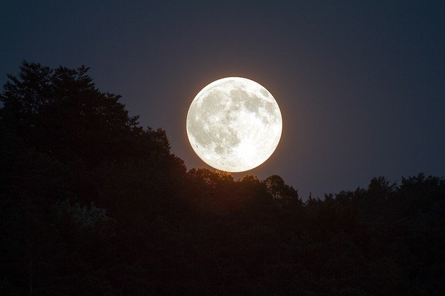 「十六夜」は何て読むの?その意味とは?月齢のひとつ「十六夜」を解説