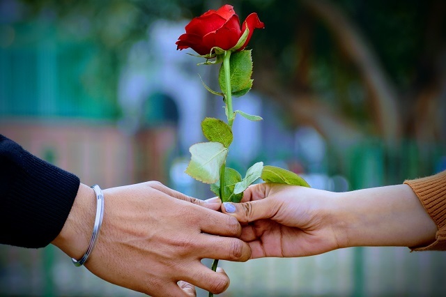 11月22日は「いい夫婦の日」！！・・・一体何をすればいい記念日なの？