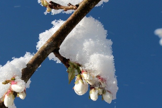 降る時期や質感で名前が変わる「雪」。それぞれ状態による名前や別名など、たくさんあります！！