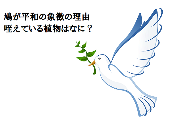 なぜ鳩は平和の象徴なのか？そして咥えている植物はなに？