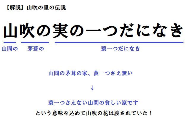 戦国武将だけど歌人?!太田道灌の『山吹の里伝説』が深い!幼少時代の利発さもわかる逸話もご紹介
