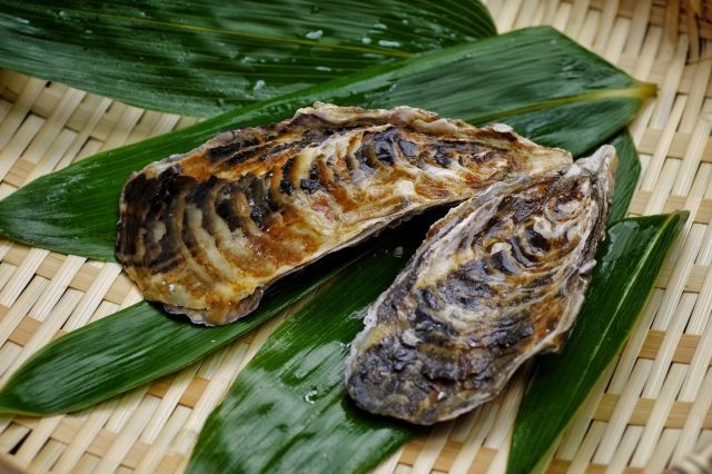 牡蠣の美味しい時期はいつ?食べてはいけない時期があるって本当?