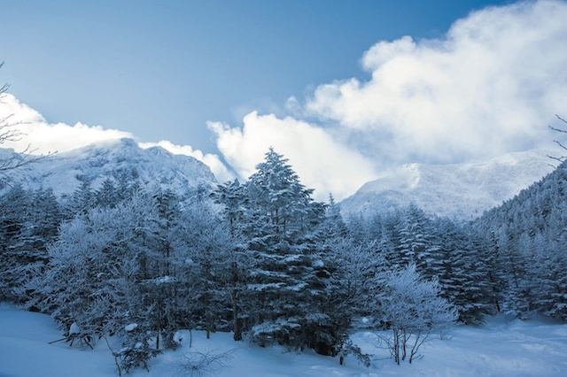 自然の恵みに包まれ豊かな縄文時代を感じる山小屋旅『八ヶ岳 MEGUMI STAY』