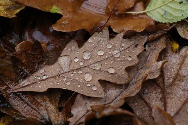 キャンプ初心者向けの雨対策4選！設営&撤収方法やのんびり楽しむコツもご紹介！