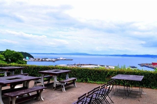 三浦半島最大級の花畑！絶景が楽しめる「ポピー・ネモフィラまつり」