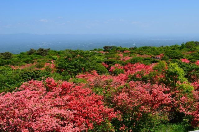 新緑の澄みわたる空と20万本ものつつじが映える絶景！休暇村那須「つつじdeさんぽ」