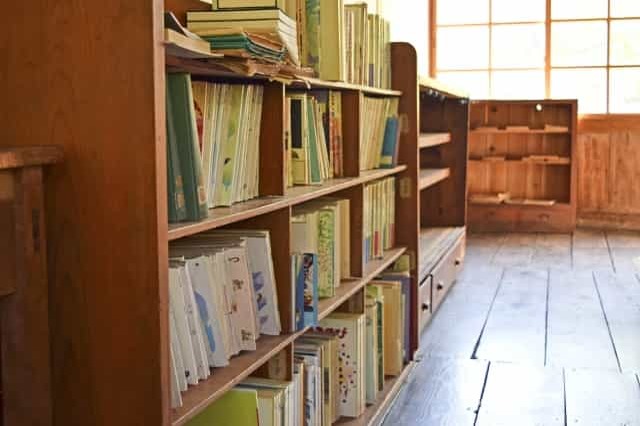本棚の嫌なカビ対策はこの方法がおすすめ！正しい掃除方法も徹底解説！