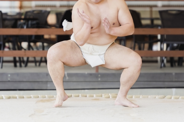相撲は実は国技ではない？では何が日本の国技なの？
