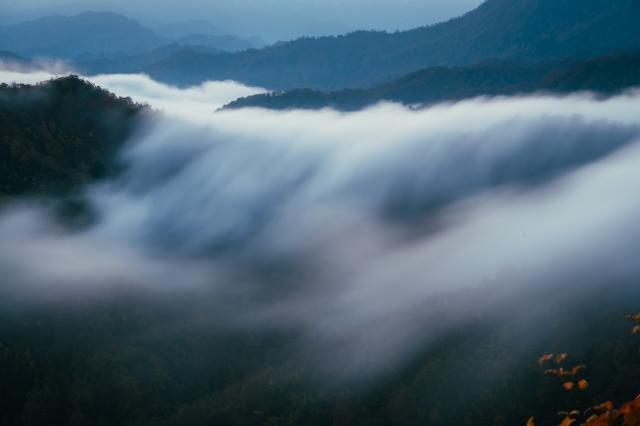 幻想的な雲海の大瀑布！？魚沼「滝雲」の知られざる絶景