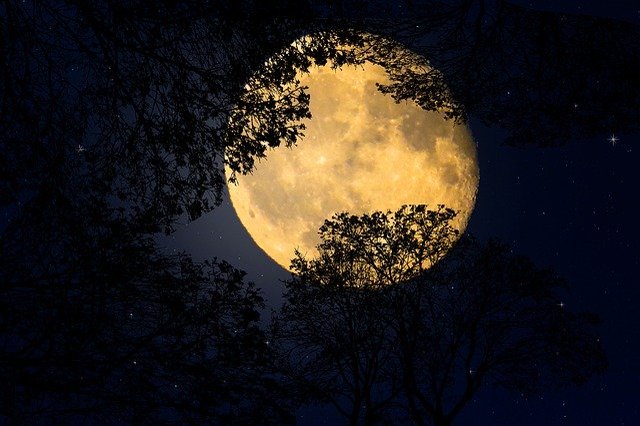 「十六夜」は何て読むの?その意味とは?月齢のひとつ「十六夜」を解説