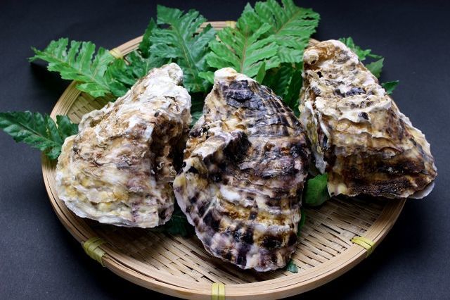牡蠣の美味しい時期はいつ?食べてはいけない時期があるって本当?
