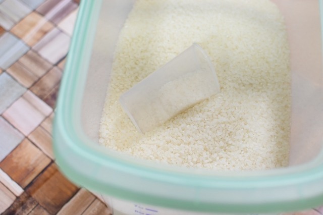 米びつを開けたらダニ！？原因と対策方法を紹介！虫がわいたお米は食べれる？