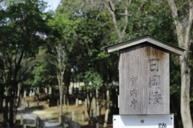 加古川市「日岡山公園」にて約1,000本のソメイヨシノがライトアップ