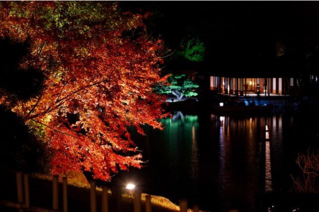 紅葉に燃える香川の名園で、ひとときの夜の夢「栗林公園ライトアップ」