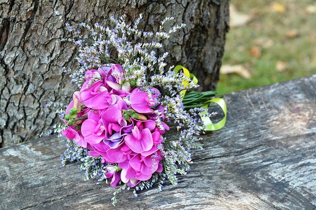 スイートピーの花言葉は?パステルカラーがカワイイ春の花