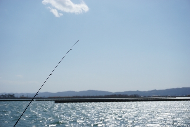 【日本三大怪魚】それは希少性の高い釣り人たちの憧れの魚たち！！